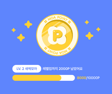 챌린지 포인트 시스템